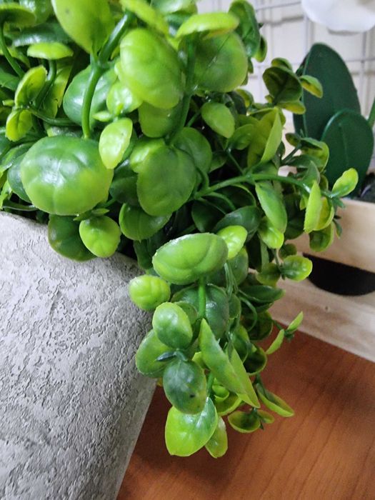 Sztuczny Bukszpan gipsowej doniczce jak żywy sztuczne bukszpany kwiaty