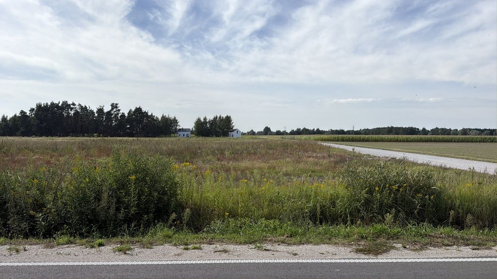 Działka na sprzedaż, warunki zabudowy, Chełmiński Park Krajobrazowy, w pobliżu jeziora 4,67ha - Widok 3