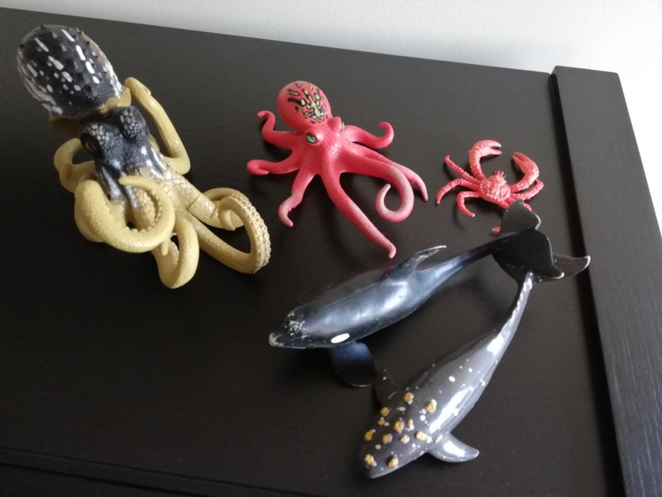 Animais do mar e insectos como novos64739000430722124