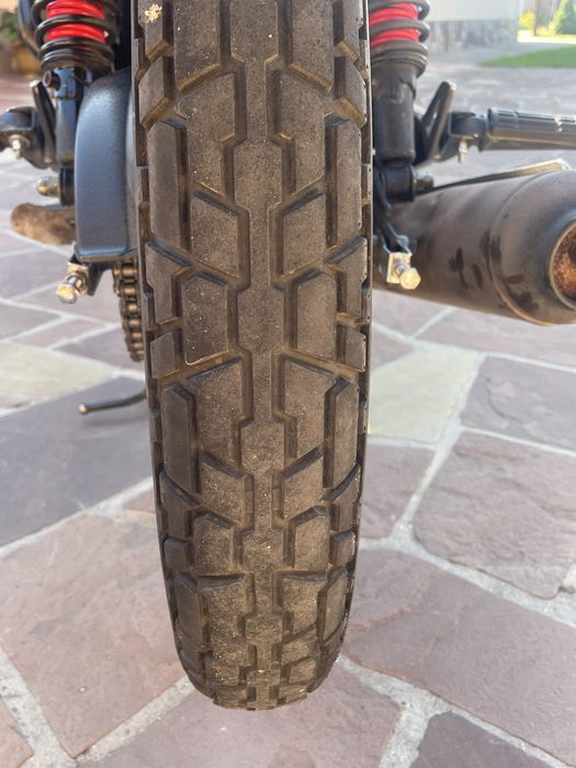 Мустанг Регіон 200