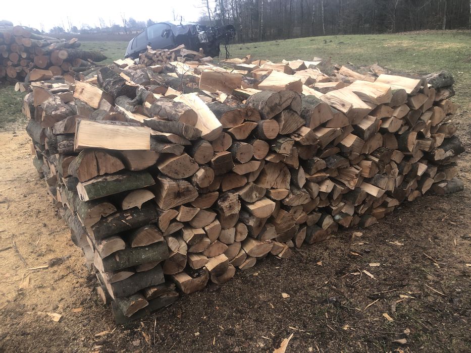 Drewno kominkowe , Drzewo, Opal, sezonowane i surowe