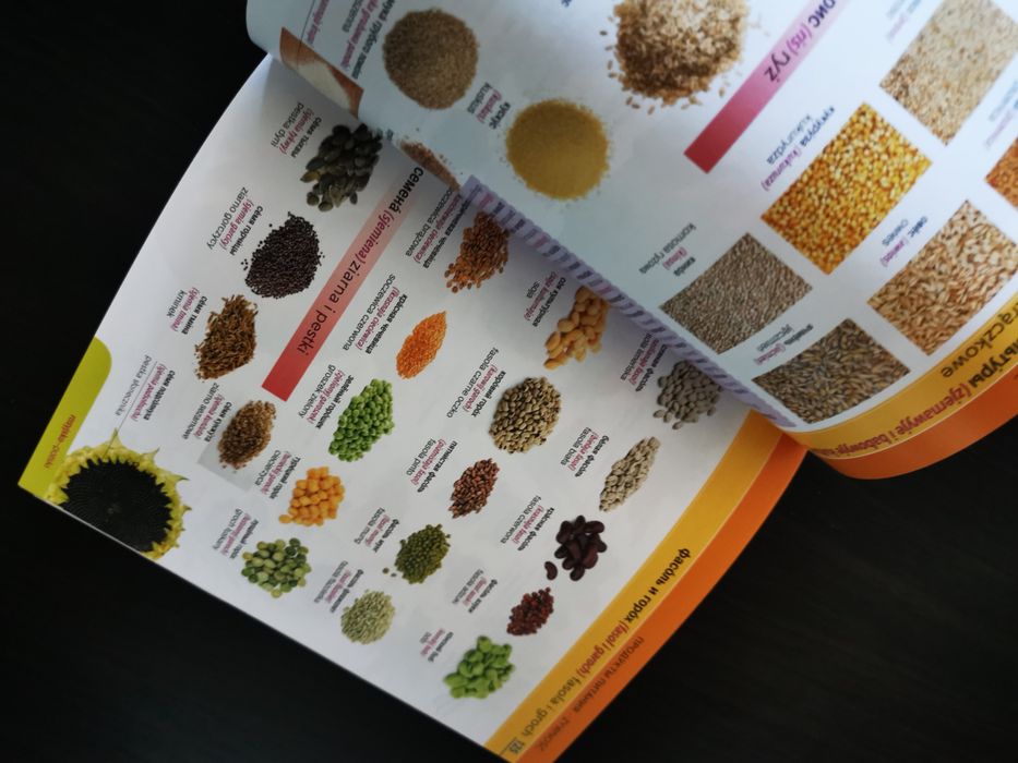 Ilustrowany słownik Polsko - rosyjski