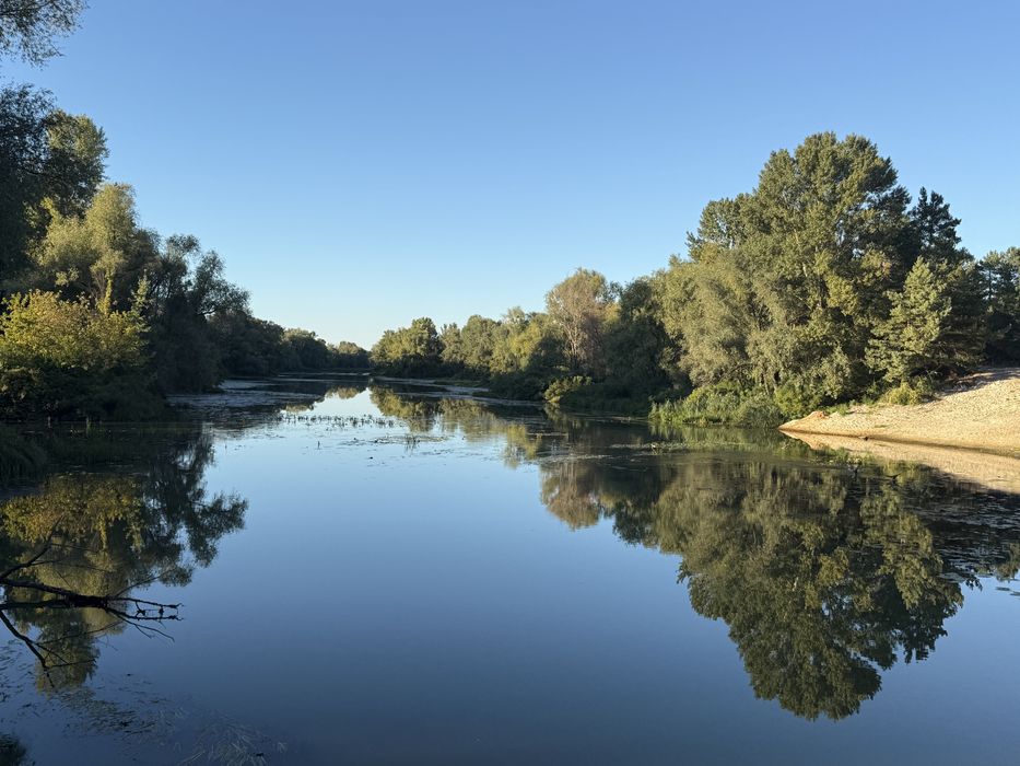 10 сот біля рибного каналу 250м поряд ліс та київське море терміново