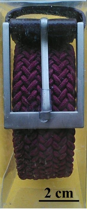 Cinto – The World of Calgary: Mugello64584633141507121