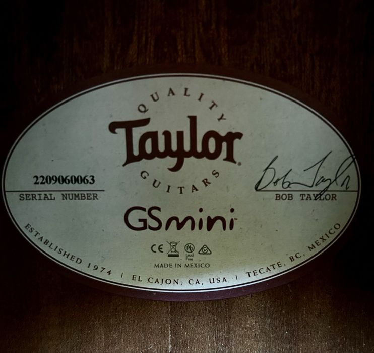 Taylor GS Mini Mahogany
