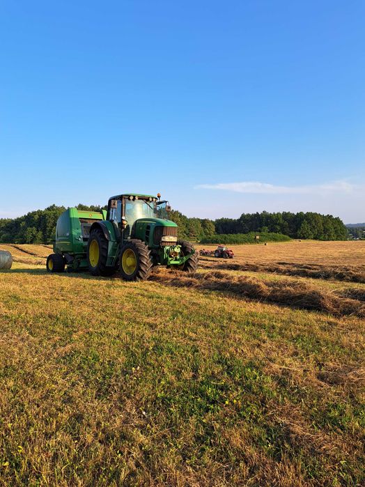 Siano dla koni / siano dla zwierząt / siano zieone tegoroczne