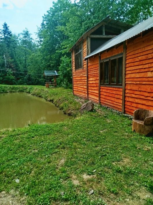 Відпочинок у Карпатах