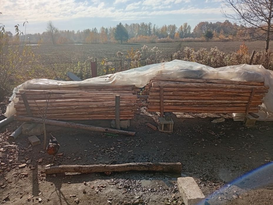 Nowe stemple budowlane