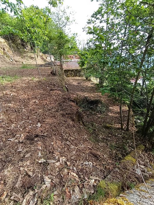 Palheiro em pedra com terreno