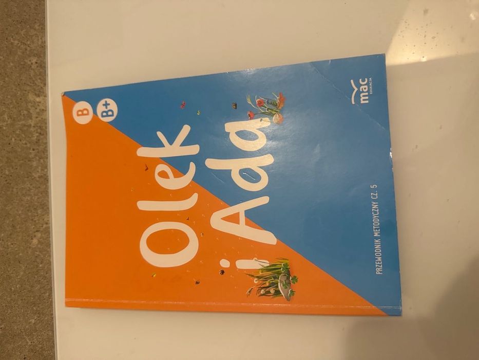 Przewodnik metodyczny , Olek i Ada