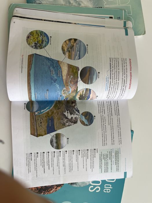 Manuais Biologia e Geologia 11°
