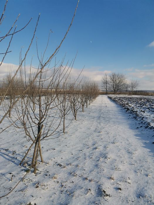 Продам земельну ділянку