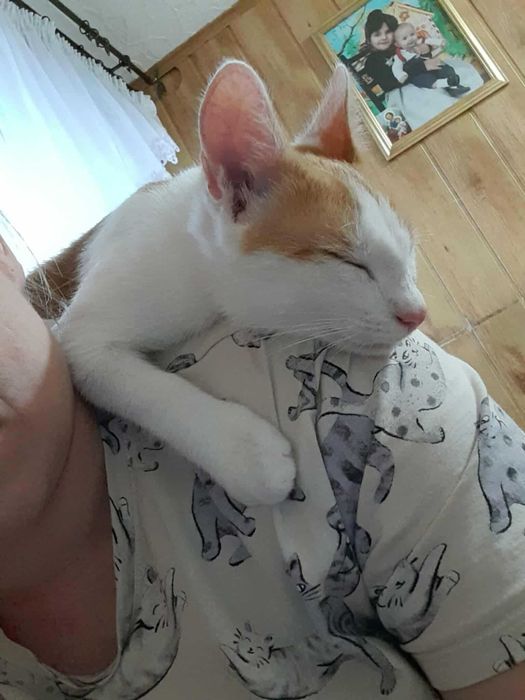 Charlie mnoży szczęście