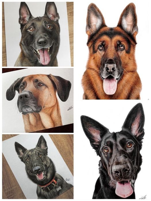 Малюнок портрет на замовлення