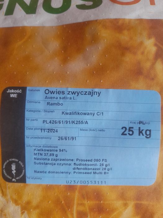 Owies Rambo  po centrali