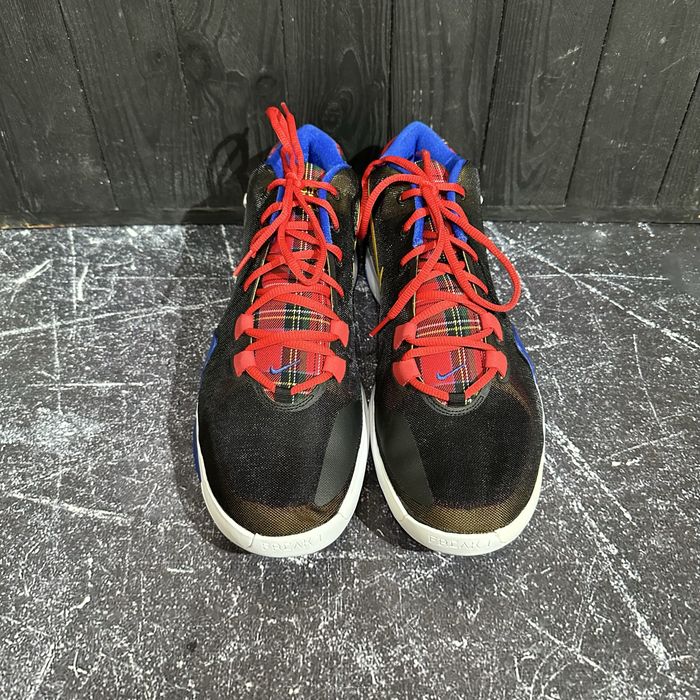 Баскетбольні кросівки Nike Zoom Freak 1. 47/31 cm
