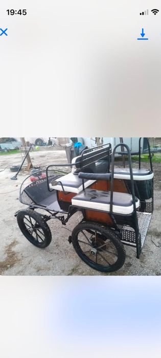Cavalos pôneis maratona para pôneis ou garranos