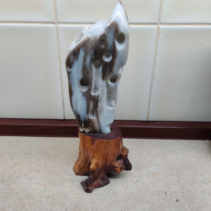 Окаменелое дерево Нефрит 30см