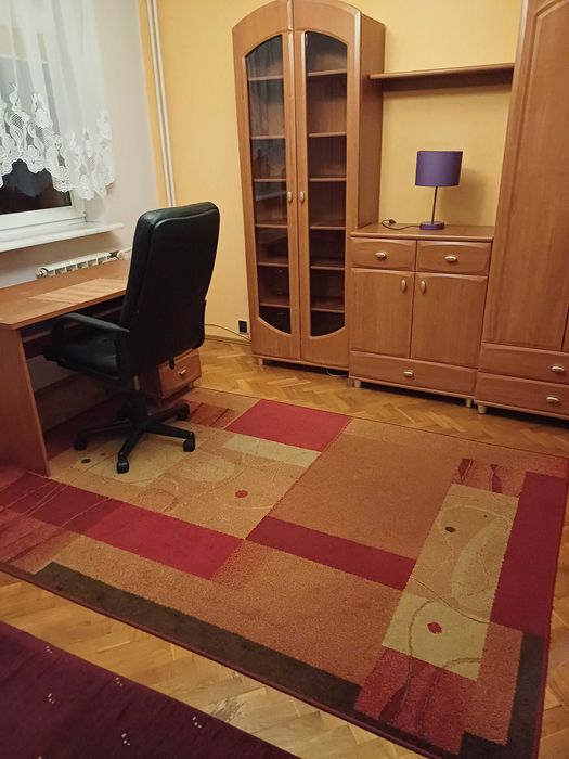 Apartment in Łódź, Henryków, Mileszki - Widok 3