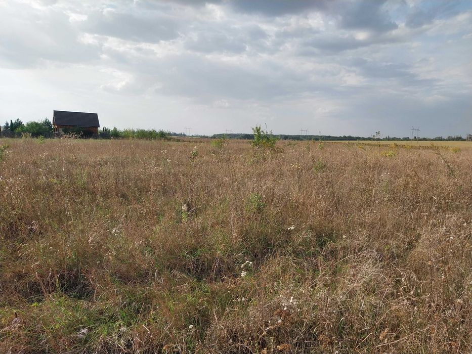 Продам земельну ділянку в  с. Горбанівка