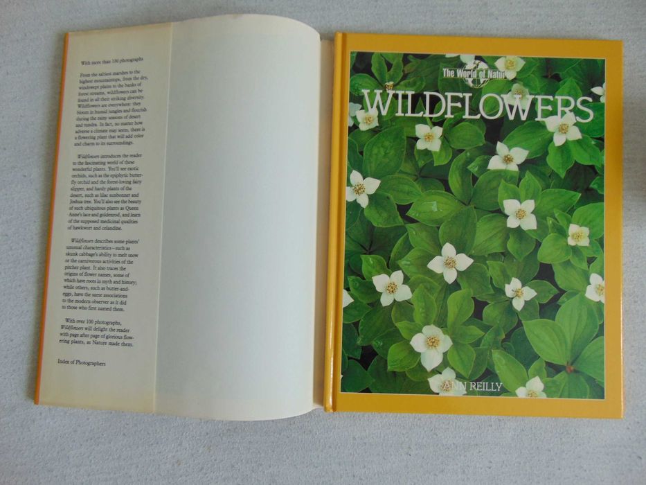 Album Wildflowers - Ann Reilly