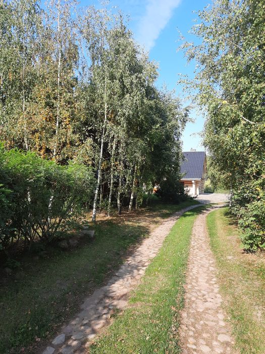 Dom Nad Łowiskiem, i jezioro Powidzkie, domek do wynajęcia łowisko