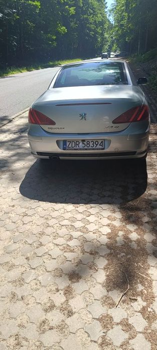 Peugeot 307cc Zadbany
