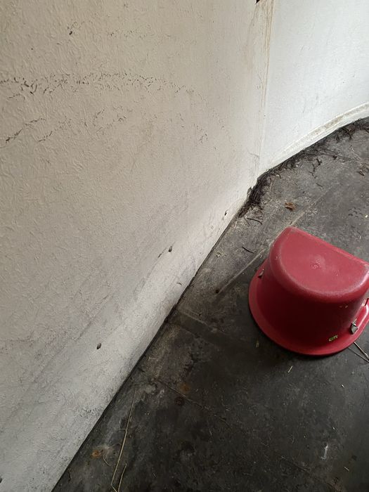 Przyczepa dla końa dmc 1500