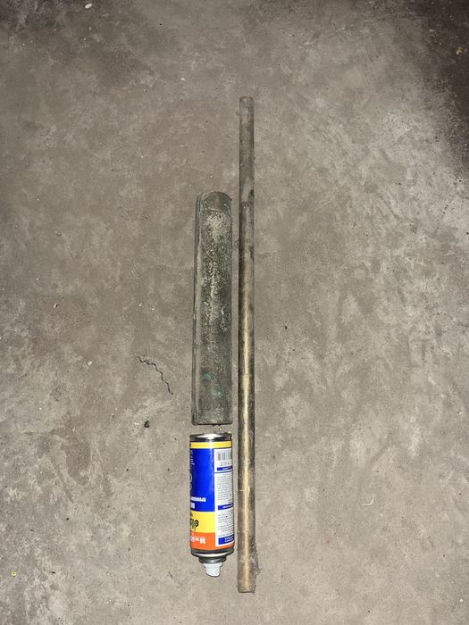 Кругляк  бронзовий