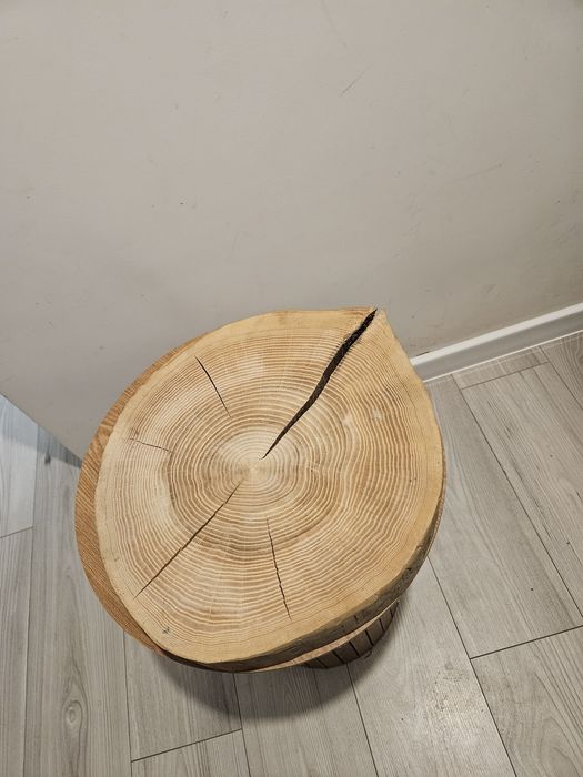 Plaster dębu promocja