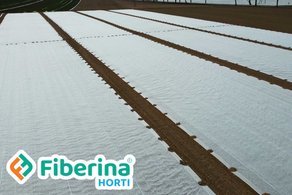 Agrowłóknina 23g POL włóknina okrycie na ziemniaki truskawki ogórki WB