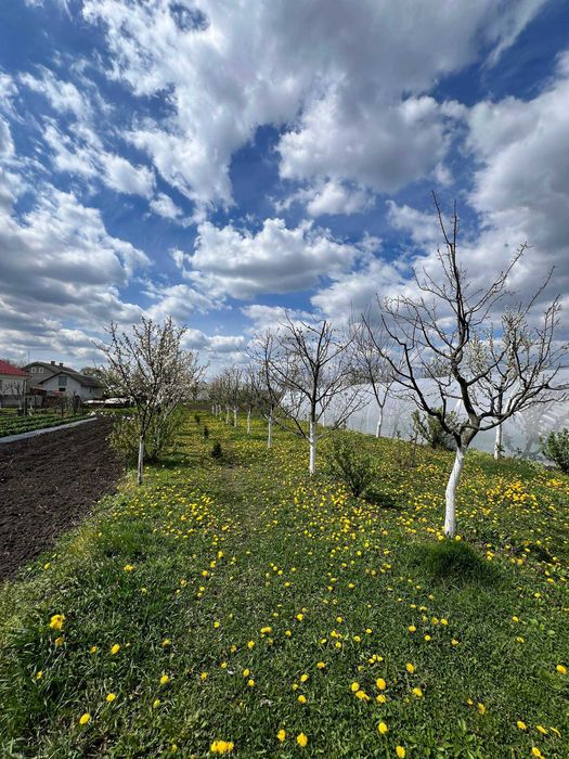 Продається будиночок  с. Шипинці.