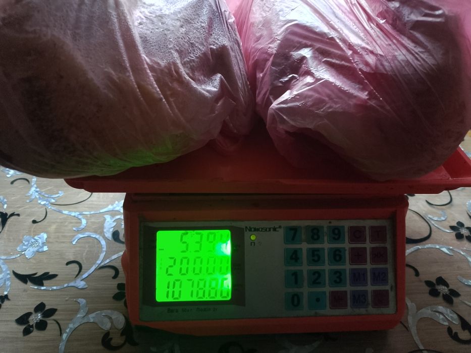 Тушки молодих качок та півників(вже цього річні)