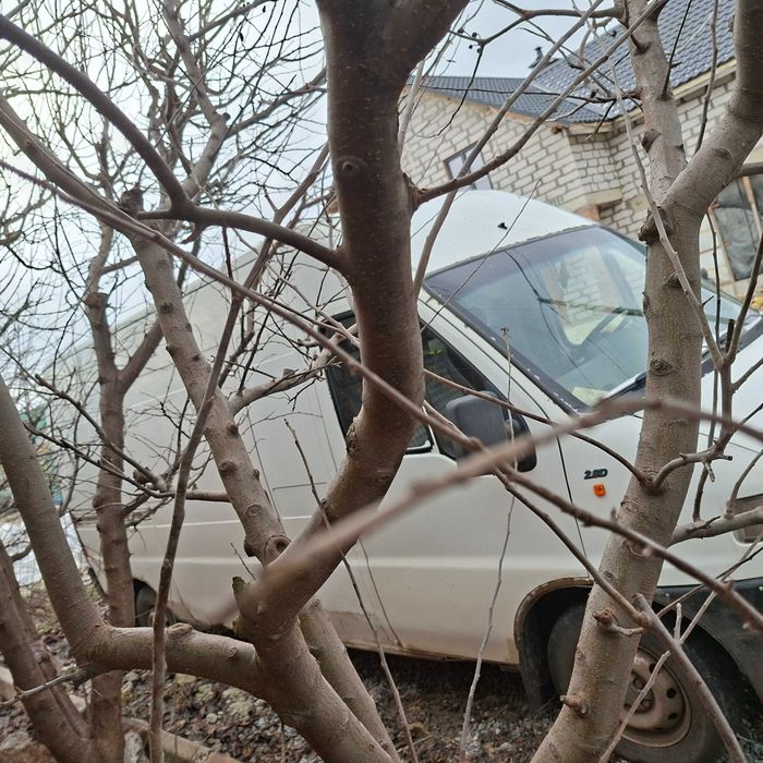 Fiat Ducato 1999