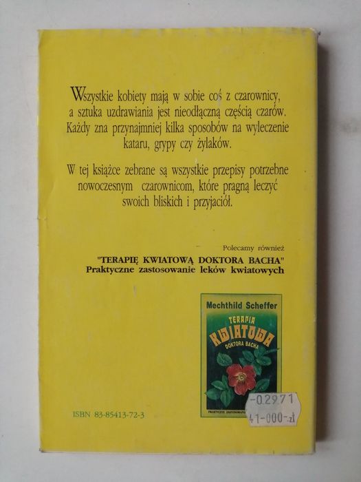 Nowoczesna czarownica - Sarah Lyddon Morrison