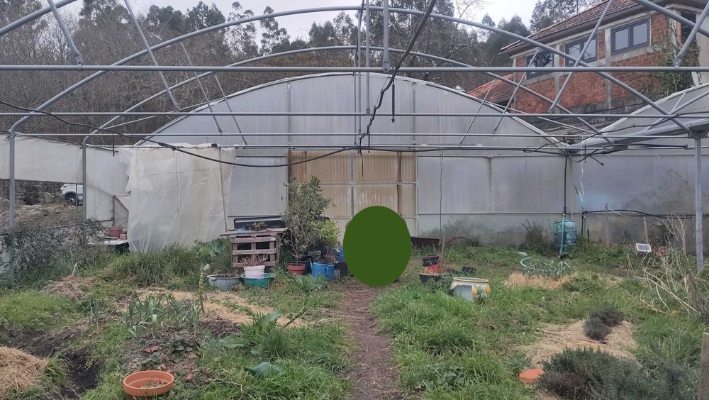 Estrutura Estufa com 800m2