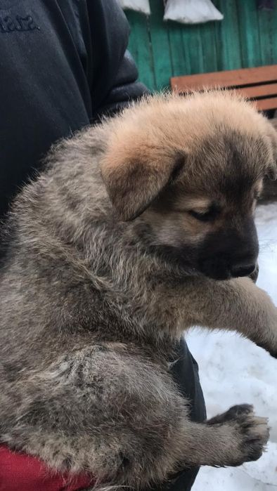 Акція - розпродаж!