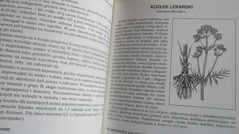 Apteka natury - Poradnik zdrowia - Górnicka/porady/medycyna naturalna