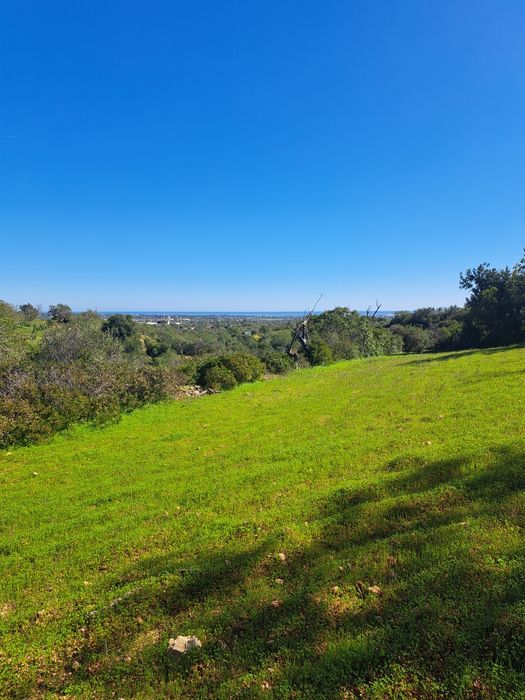 Terreno Rústico em Alcaria Cova/Estoi