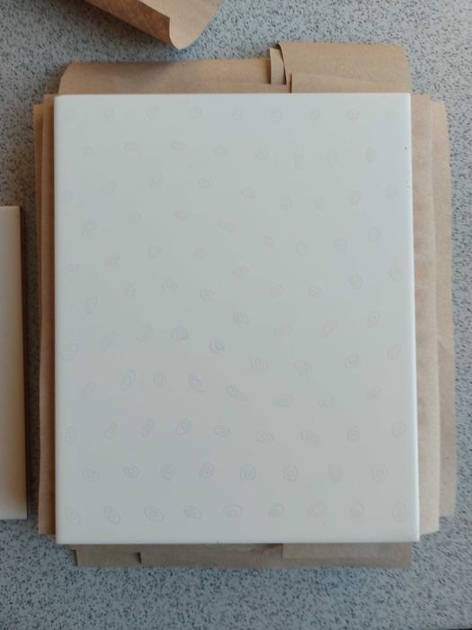 Białe płytki ścienne 25 cm / 20 cm 7 sztuk + skrawki  NOWE