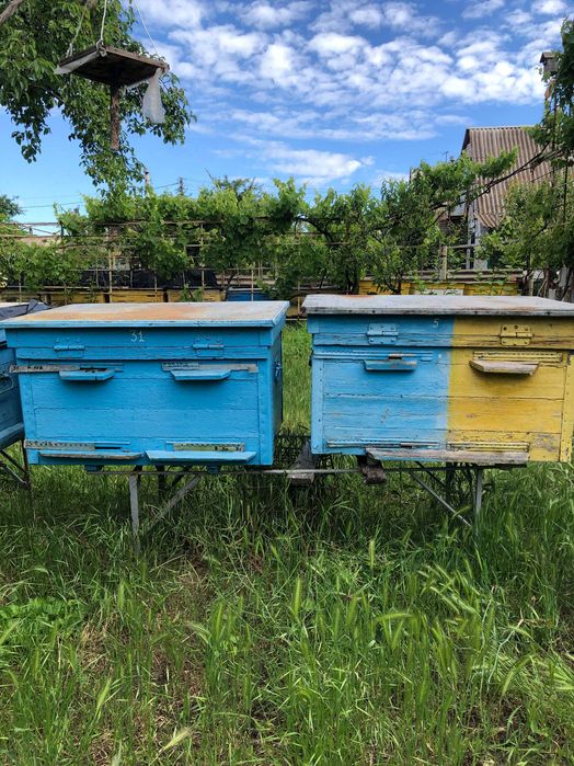 Продам вулики лежакі 20 рамок