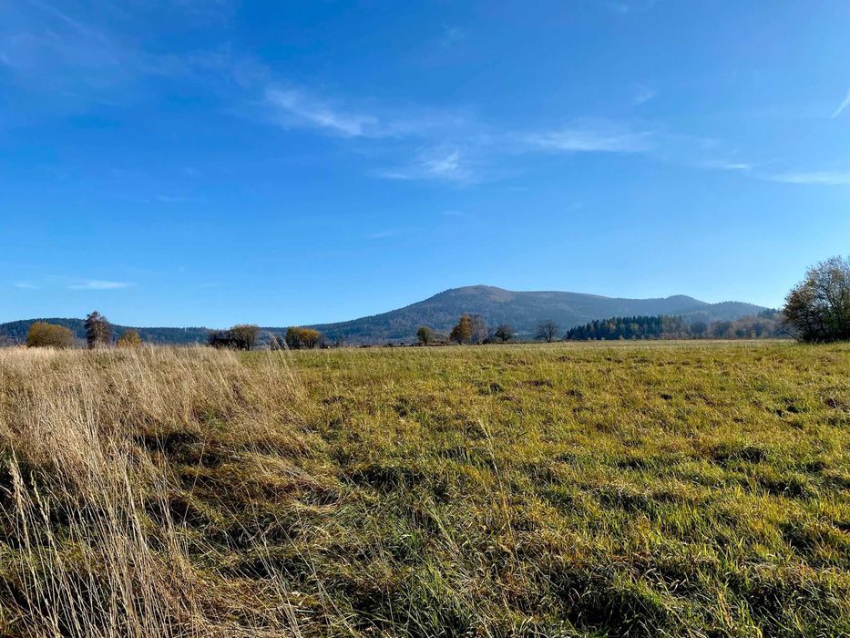 Działka budowlana Goszòw Stronie Śląskie (teren niezalewowy)