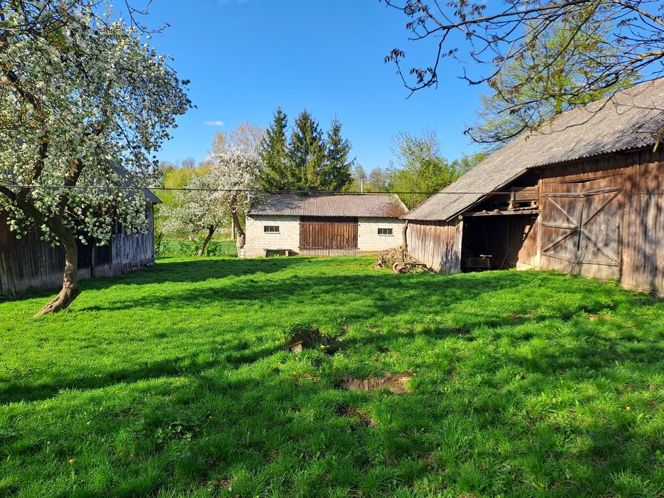 Gospodarstwo rolne z zabudowaniami i lasem 6h