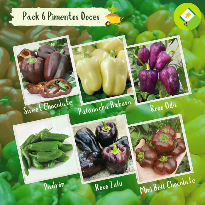 Pack/kit 6 Variedades de Pimentos Doces (sementes)