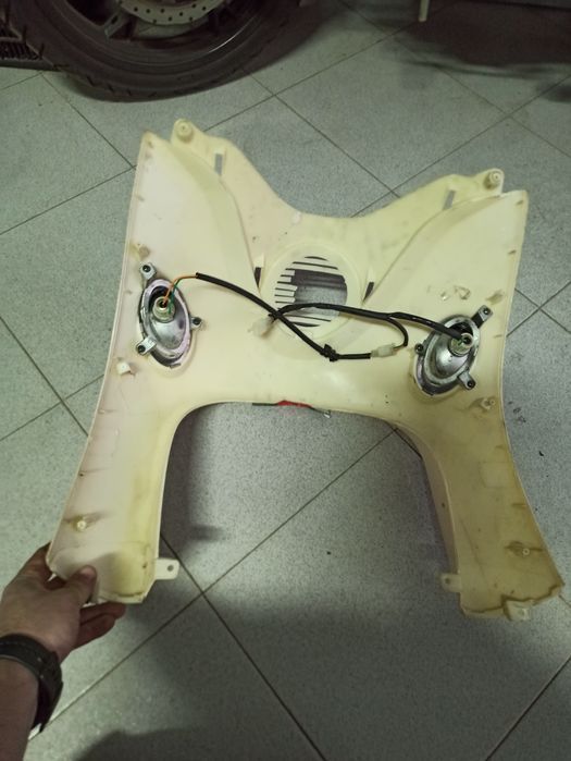 Carnagens Znen Legend