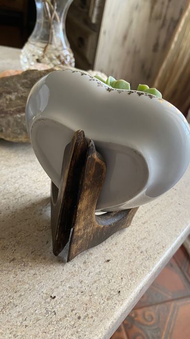 Suculenta em caixa de porcelana