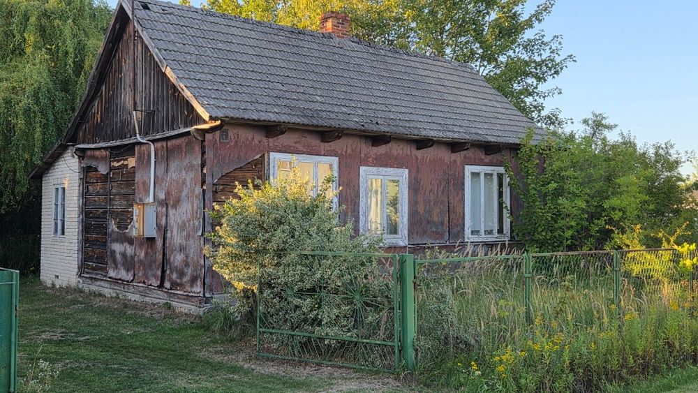 Sprzedam siedlisko w miejscowości Ignaców gm. Przyłęk