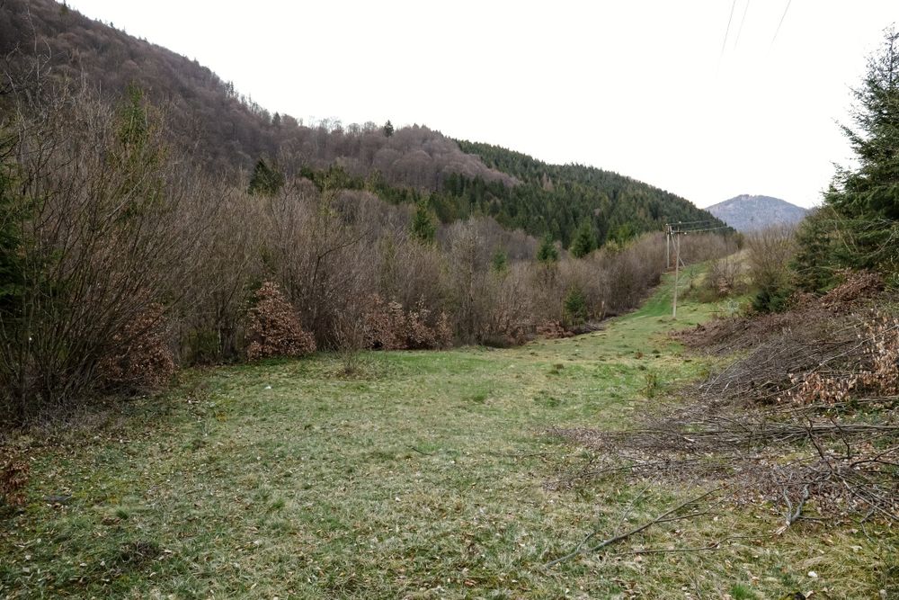 Продаж земельної ділянки в горах Закарпаття