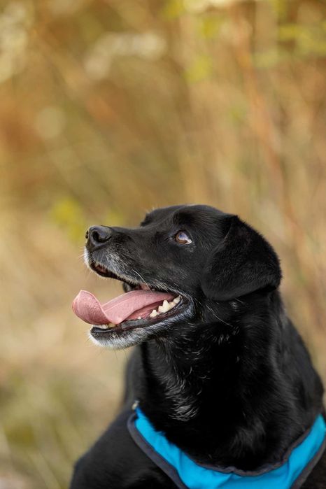 Migdał - młody, mały, wrażliwy - daj mu sznasę