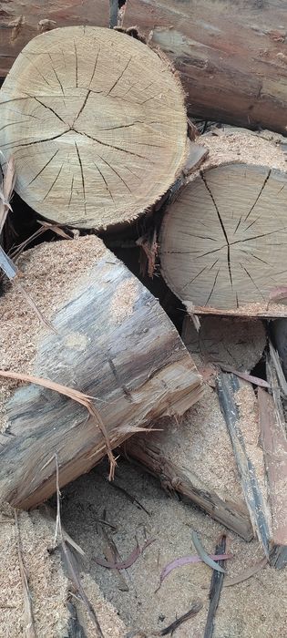 Lenha Seca Eucalipto/Pinho